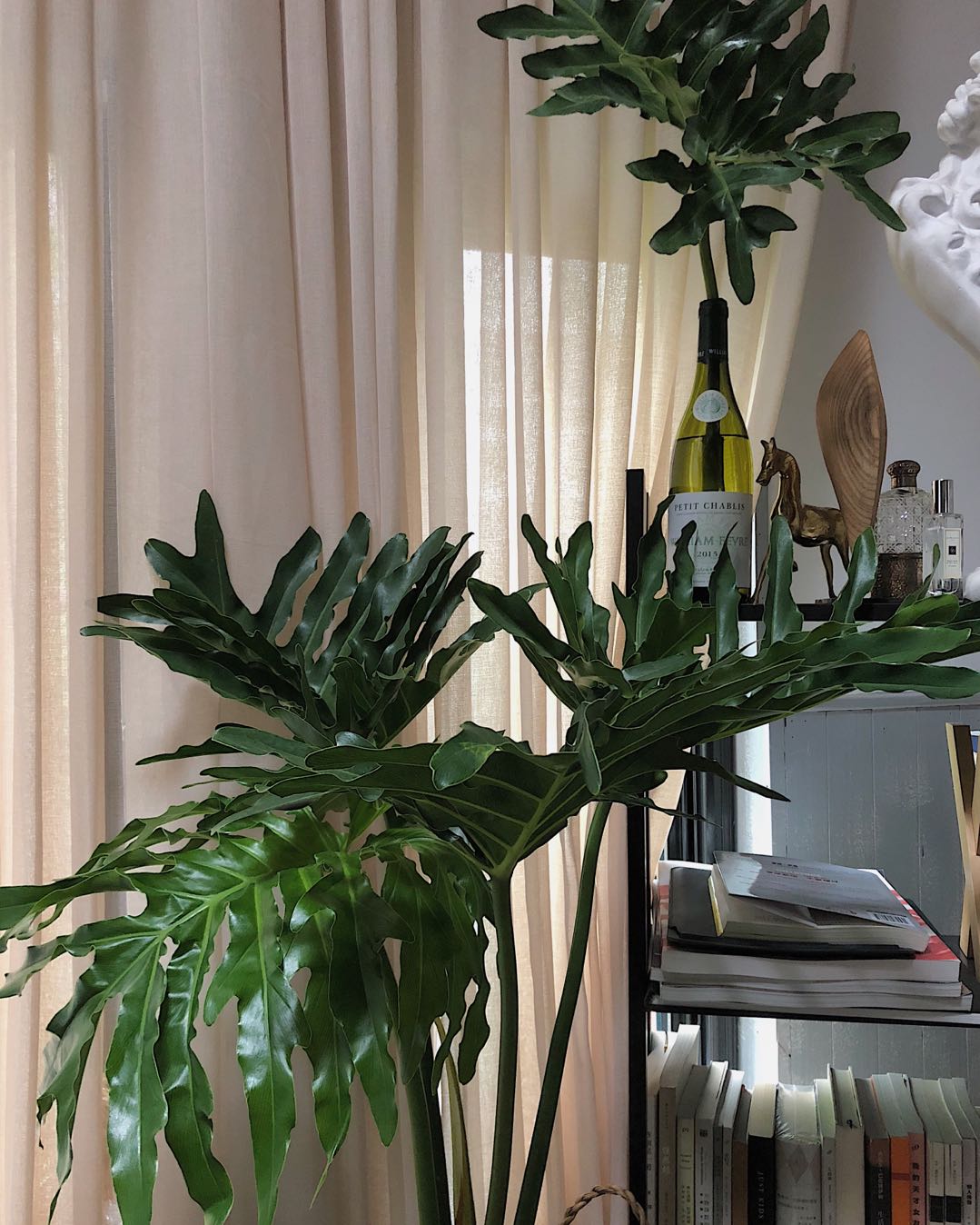 “书籍” 还是供养服装设计师的肥料吗？